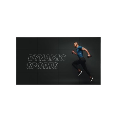 ECRAN LCD 55"/55VL5PJ-A LG