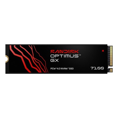 SSD Sandisk GX 7100 SDSP71100TAN 1TB M.2 SDSP71100TAN-000E0
